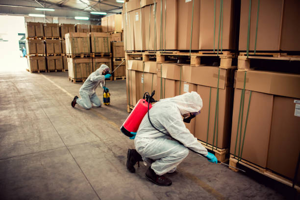 Best Pest Prevention Services  in Tickfaw, LA