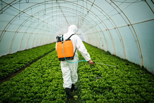 Best Pest Control Treatment  in Tickfaw, LA