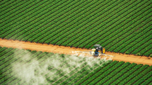 Best Pest Inspection Near Me  in Tickfaw, LA